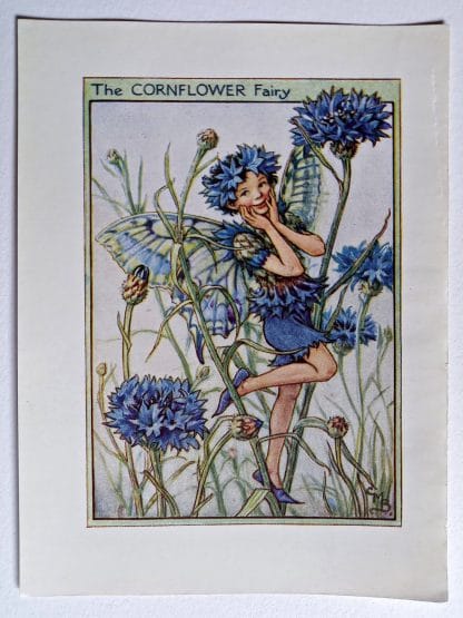 Cornflower Vintage Fairy Print