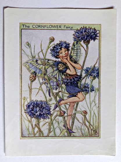 Cornflower Vintage Flower Fairy Print