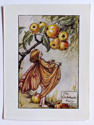 Crabapple Flower Fairy Print