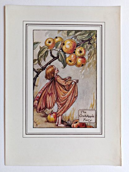 Crabapple Vintage Flower Fairy Print