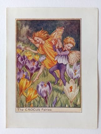 Crocus Flower Fairy Print