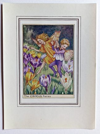 Crocus Vintage Fairy Print