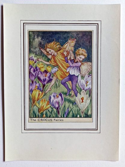 Crocus Vintage Fairy Print