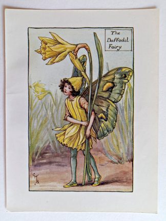 Daffodil Fairies Print