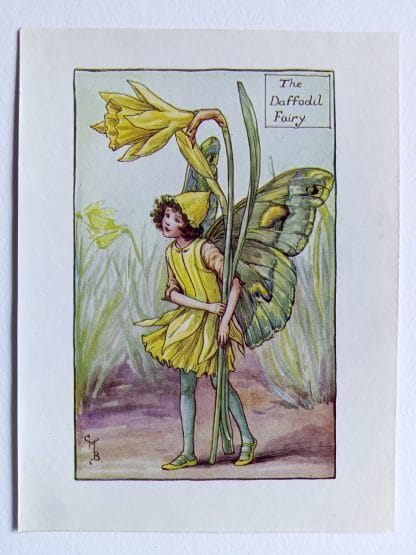 Daffodil Flower Fairy Print