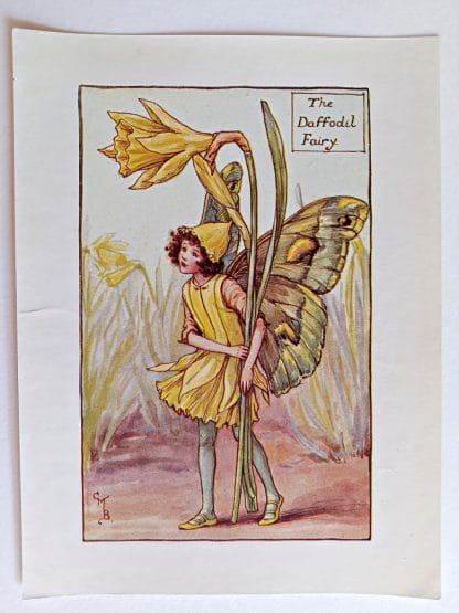 Daffodil Vintage Flower Fairy Print
