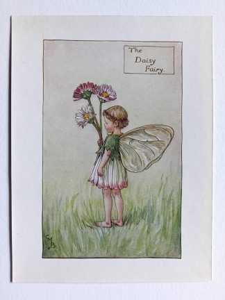 Daisy Flower Fairy Print