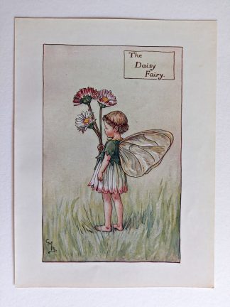 Daisy Vintage Flower Fairy Print