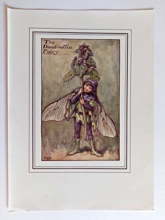 Dead nettle Fairies Print