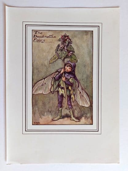 Dead nettle Fairies Print