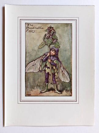 Dead nettle Fairy Print