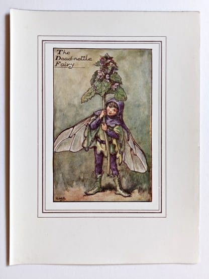 Dead nettle Fairy Print