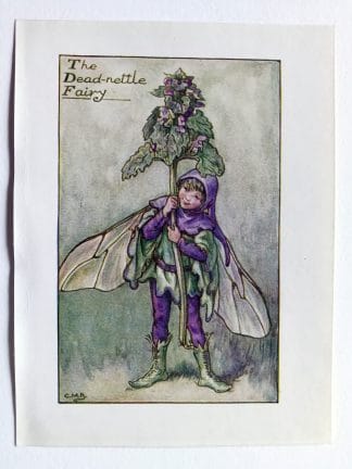 Dead nettle Flower Fairy Print