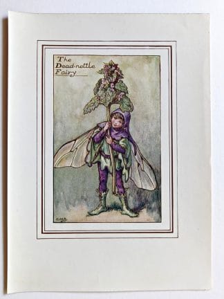 Dead nettle Vintage Fairy Print