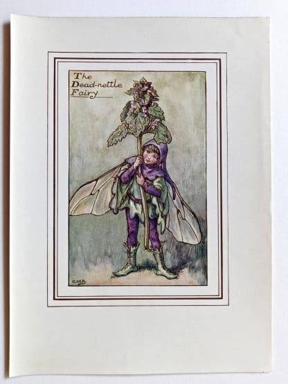 Dead nettle Vintage Fairy Print