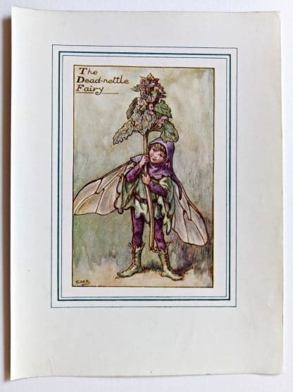 Dead nettle Vintage Flower Fairy Print