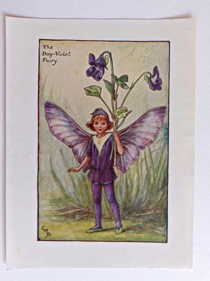 Dog Violet Fairies Print