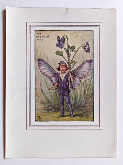 Dog Violet Fairy Print