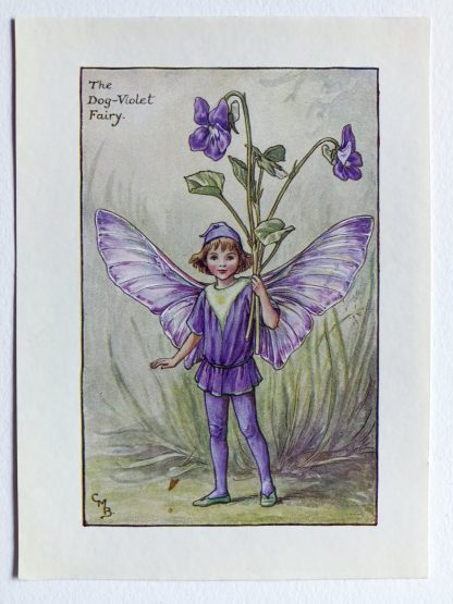 Dog Violet Flower Fairy Print