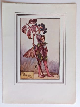 Dogwood Fairies Print