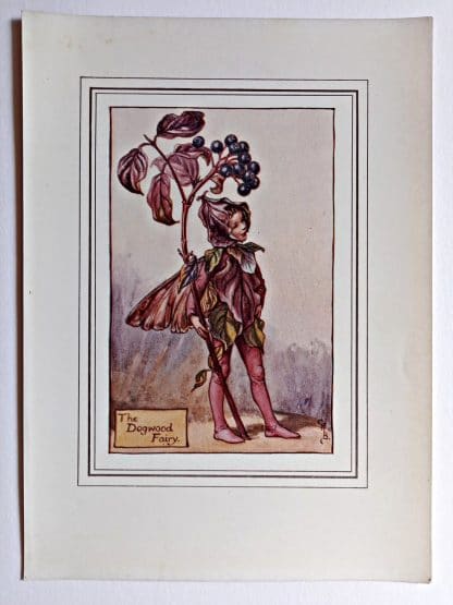Dogwood Vintage Fairy Print