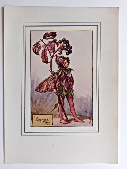 Dogwood Vintage Flower Fairy Print