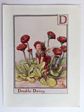 Double Daisy Fairies Print