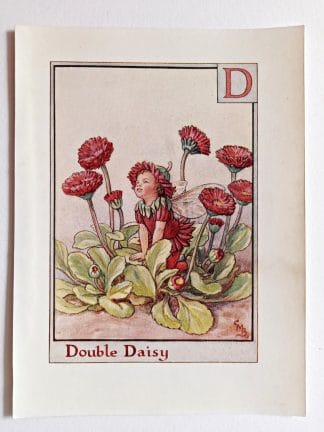 Double Daisy Fairy Print