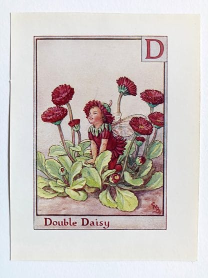 Double Daisy Flower Fairy Print