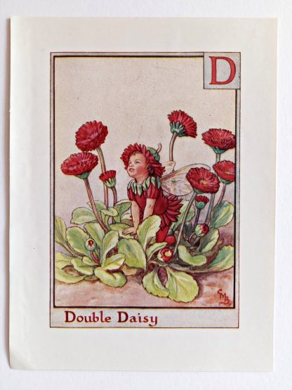 Double Daisy Vintage Flower Fairy Print