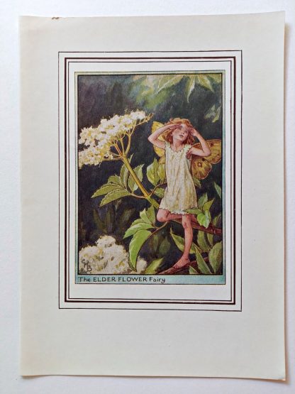 Elder Vintage Fairy Print