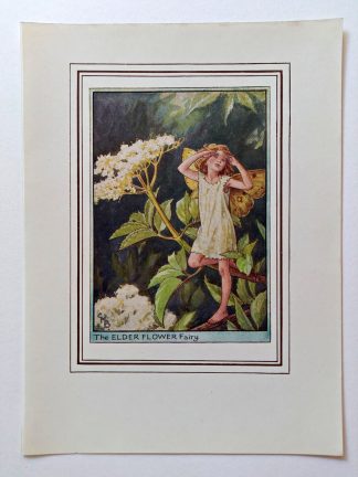 Elder Vintage Flower Fairy Print