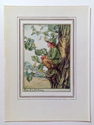 Elm Tree Fairies Print