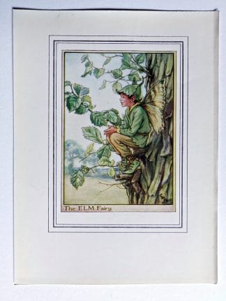 Elm Tree Fairy Print
