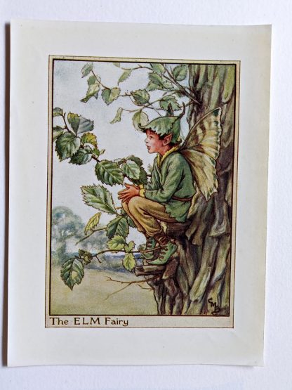 Elm Tree Flower Fairy Print