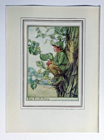 Elm Tree Vintage Flower Fairy Print