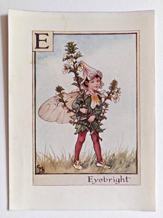 Eyebright Fairy Print