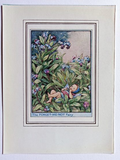 Forget me Not Garden Fairy Print