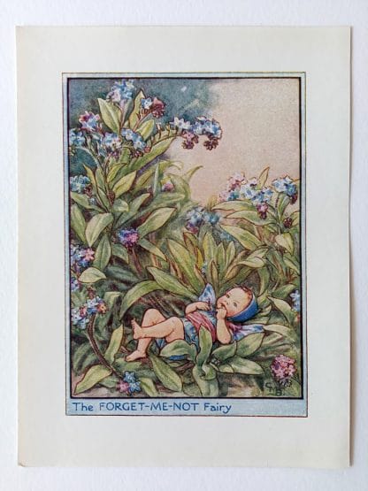 Forget me Not Garden Flower Fairy Print