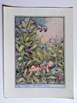 Forget me Not Garden Vintage Fairy Print