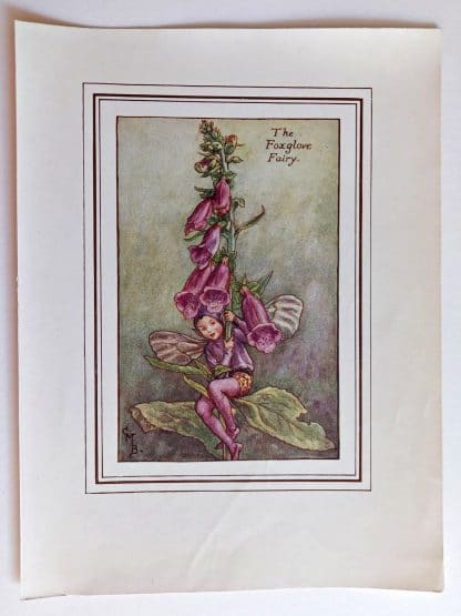 Foxglove Fairies Print