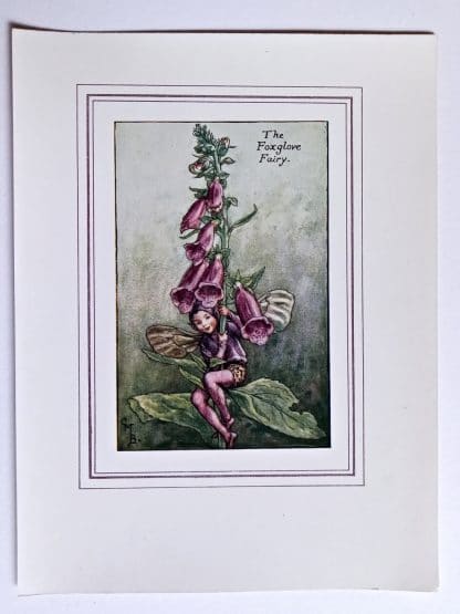 Foxglove Fairy Print