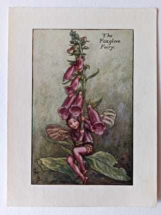 Foxglove Flower Fairy Print