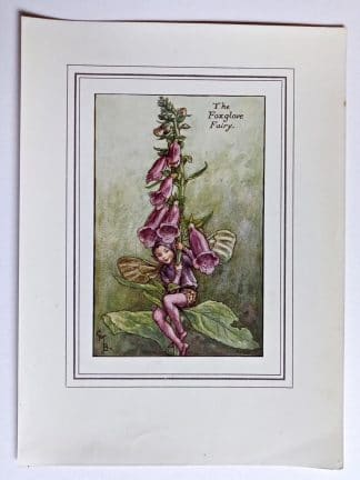 Foxglove Vintage Fairy Print
