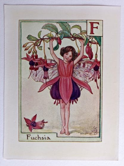 Fuchsia Fairies Print