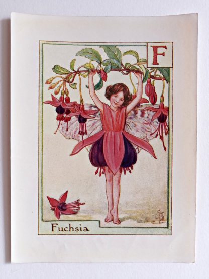 Fuchsia Fairy Print