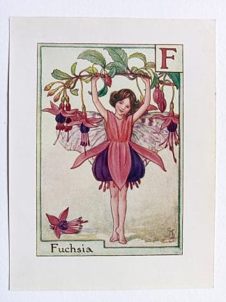 Fuchsia Flower Fairy Print