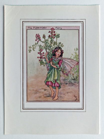 Fumitory Fairy Print