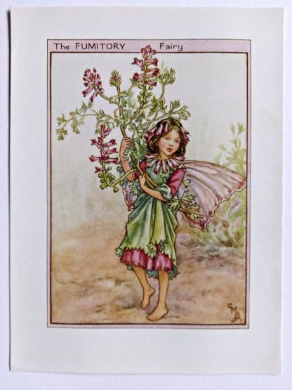 Fumitory Flower Fairy Print