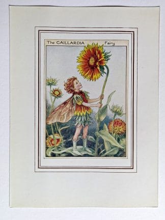 Gaillardia Fairies Print